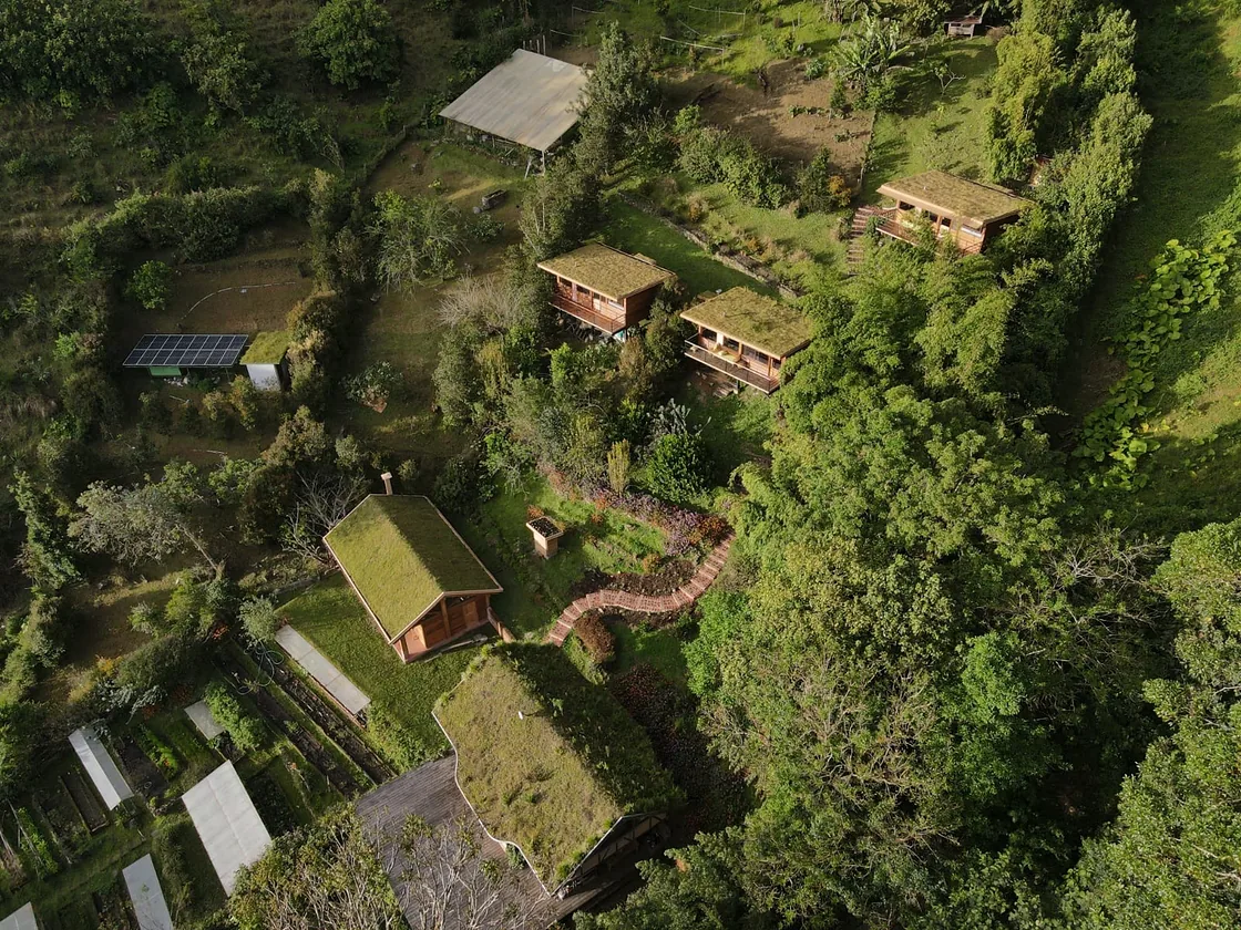 Aerial view of wooden cabins with green roofs among the forest